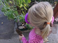 The Magic Magnifying Glass