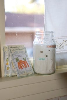 Make a "See Through" Seed Museum