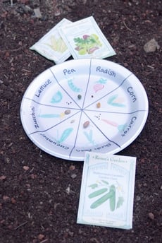Make a Handy Seed Chart
