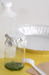 Find Out Why Leaves Change Color