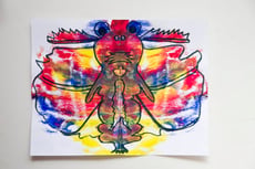 Color Bugs