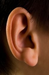 Evaluating Gender Differences in Sound Perception