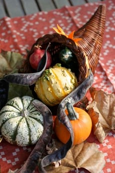 Make a Thanksgiving Cornucopia