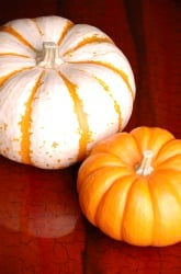 Pumpkin Science: To Float or Not to Float?