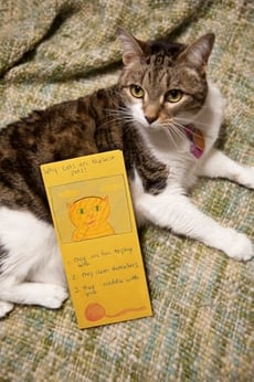 Make a Fun Brochure!