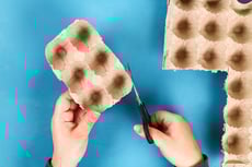 Create an Egg Carton Penguin 