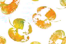 Make Pumpkin Apple Stamps