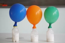 Growing Jack-o'-Lantern