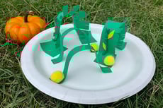 Corn Maze STEM Challenge