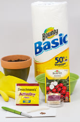 How Does Microwave Radiation Affect Different Organisms?