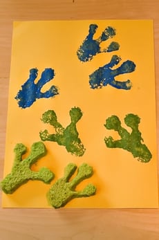 Frog Footprints 