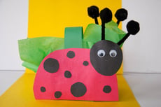 Ladybug Basket