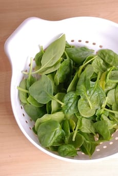 Extract DNA from Spinach!