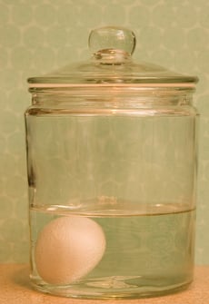 See-Through Egg Science