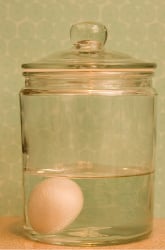 See-Through Egg Science