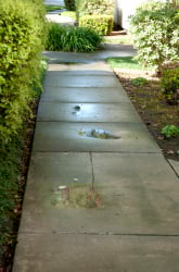 Puddle Science: Watch Evaporation in Action