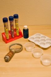 Create a Science Lab in Your Home!