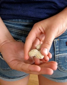 Peanut Game