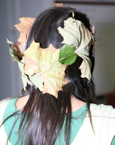  Leaf Crown