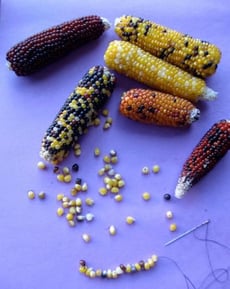 Corn Kernel Necklaces