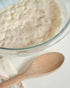 Sourdough Science!