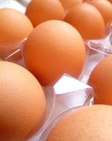 Bounce an Egg