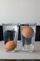 Density Demonstration