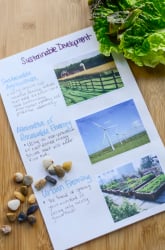 What is Sustainable Development?