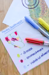 Where Did All the Wild Things Go?