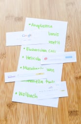 How Do Different Search Engines Work?