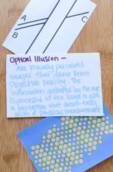 Optical Illusions