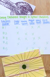 Seeing Different Images in Optical Illusions! Is It a Boy or Girl Thing?