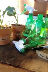 Effects of Acid Rain on Plant Growth