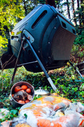 Composting Food Scraps