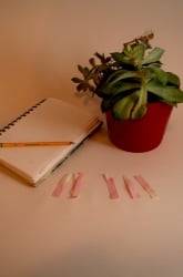 Soil pH: Acid or Alkaline?