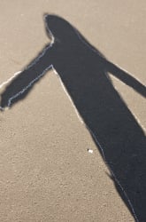 Learn Shadow Science