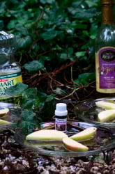 Cinnamon Bug Repellent: Sweet Relief?