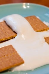 Exploring the Movement of Tectonic Plates with S'Mores