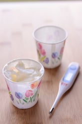 Fat Insulation: How Do Animals Keep Warm?