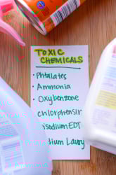 Toxic Chemicals: What's in Your Home?