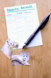 What Animals are Most Popular? A Data Analysis Project