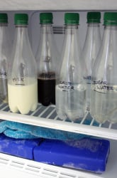 Do Some Liquids Expand More than Others When Frozen?