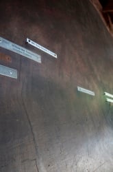 Determining the Ages of Trees