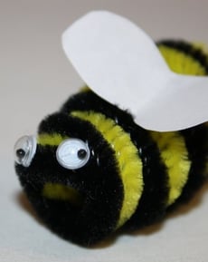 Baby Bumblebee