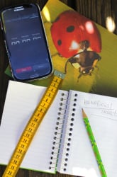 Attracting Beneficial Insects to Your Garden