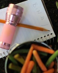 DIY Compost: Aerobic and Anaerobic Decomposition