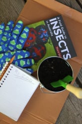 Using Garden Mulch to Make a Bug Zoo