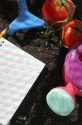 Pruning Tomato Plants