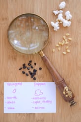 Popcorn Pumice: Exploring Different Rock Densities