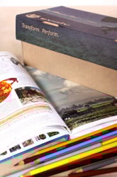 Diorama of the Geologic Period